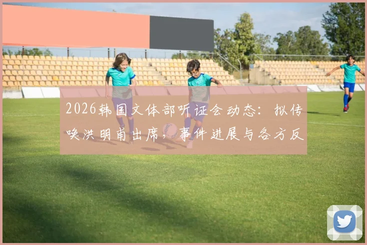 2026韩国文体部听证会动态:拟传唤洪明甫出席,事件进展与各方反应深度追踪