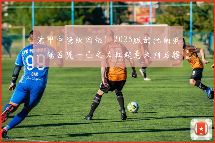 意甲中场绞肉机!2026版的托纳利,能否凭一己之力扛起意大利后腰新旗?